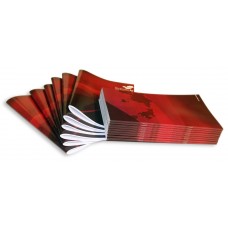 Сapsator pentru brosuri Plockmatic